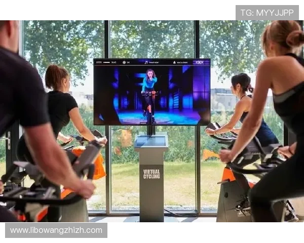 利来体育真人版开启全新体验，打造最真实的体育娱乐新平台