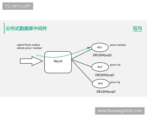 全面解析M88体育全站登录流程，解决登录难题提升用户体验的实用指南